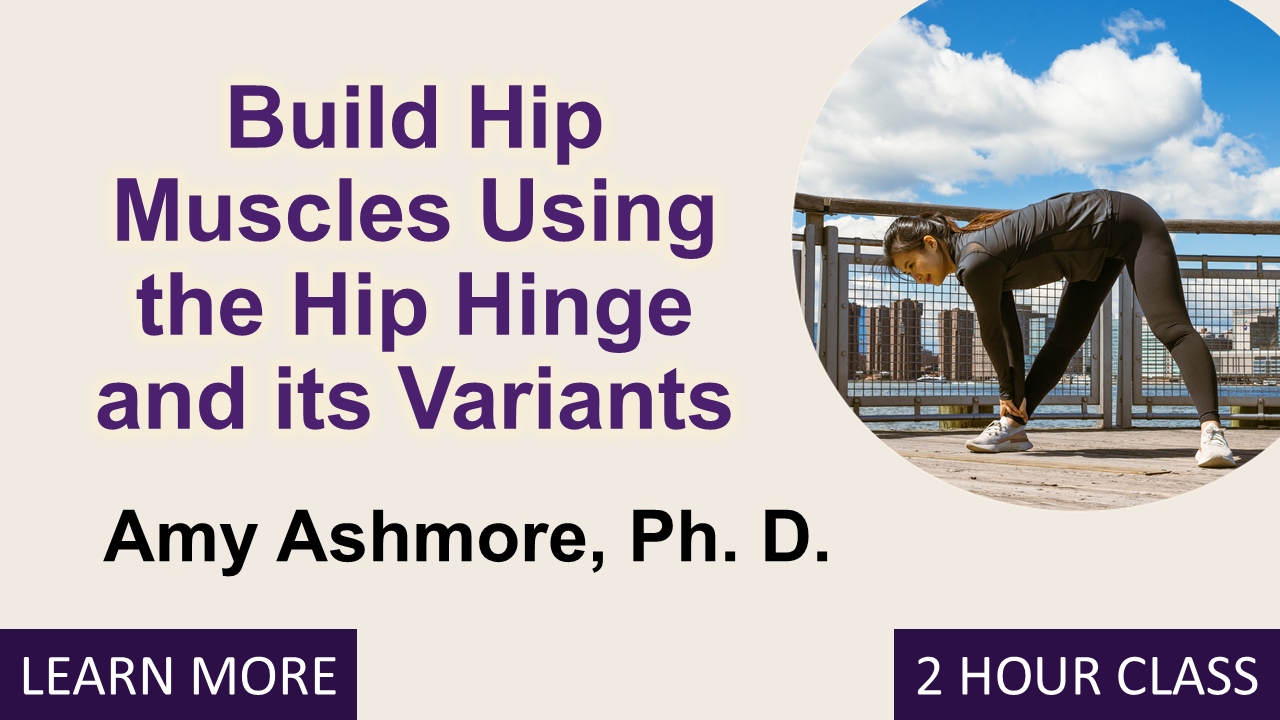 Palmer Online: Build Hip Muscle Using the Hip Hinge & its Variants